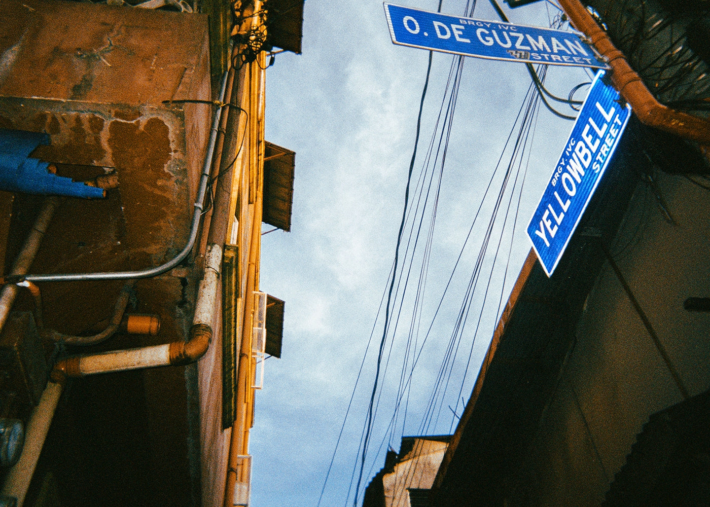 Yellowbell - Axcel, 5