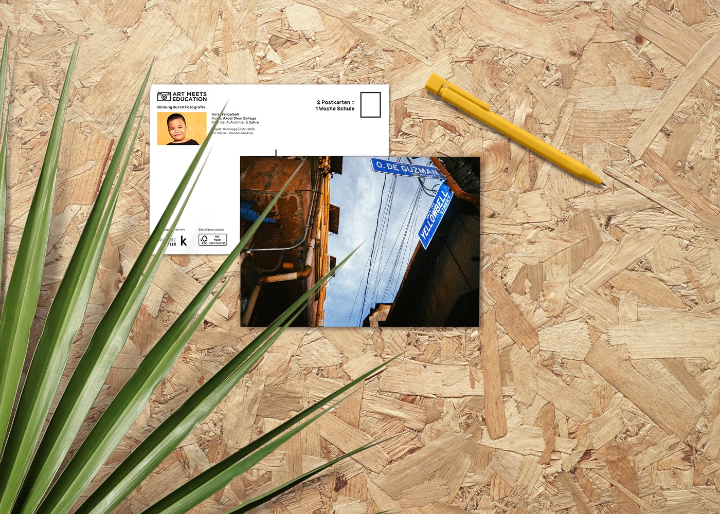 Yellowbell - Axcel, 5
