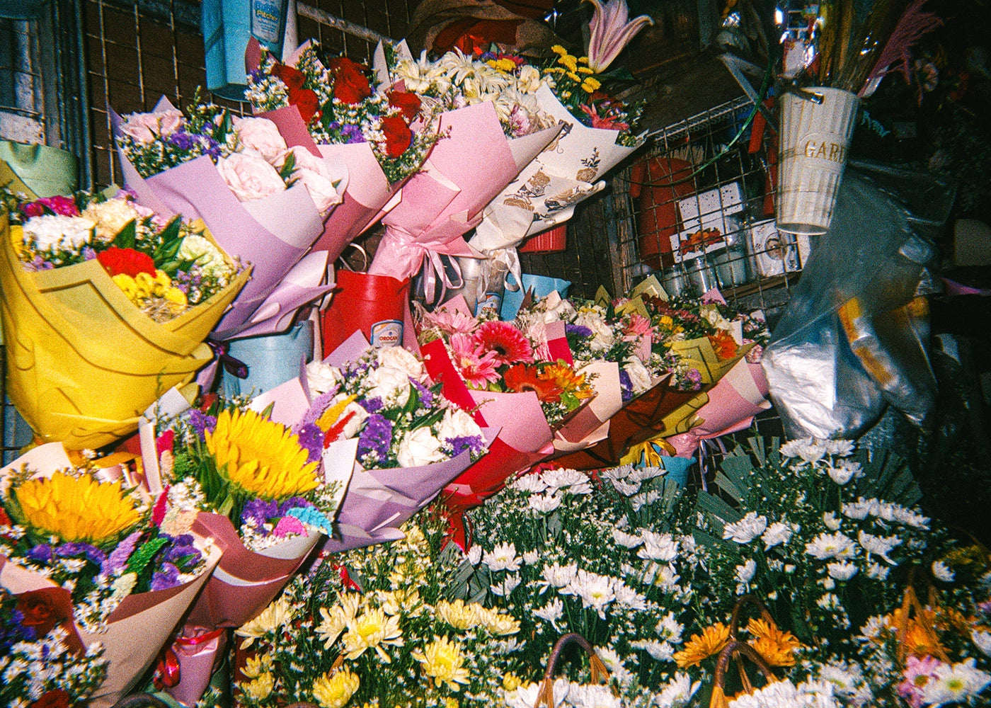 Heart Warmer - Cris, 5