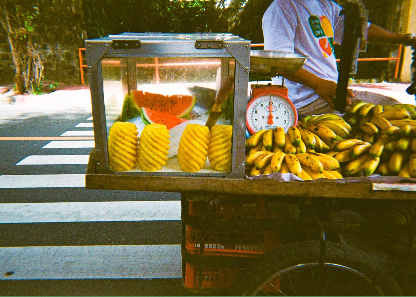 Bestseller Collection