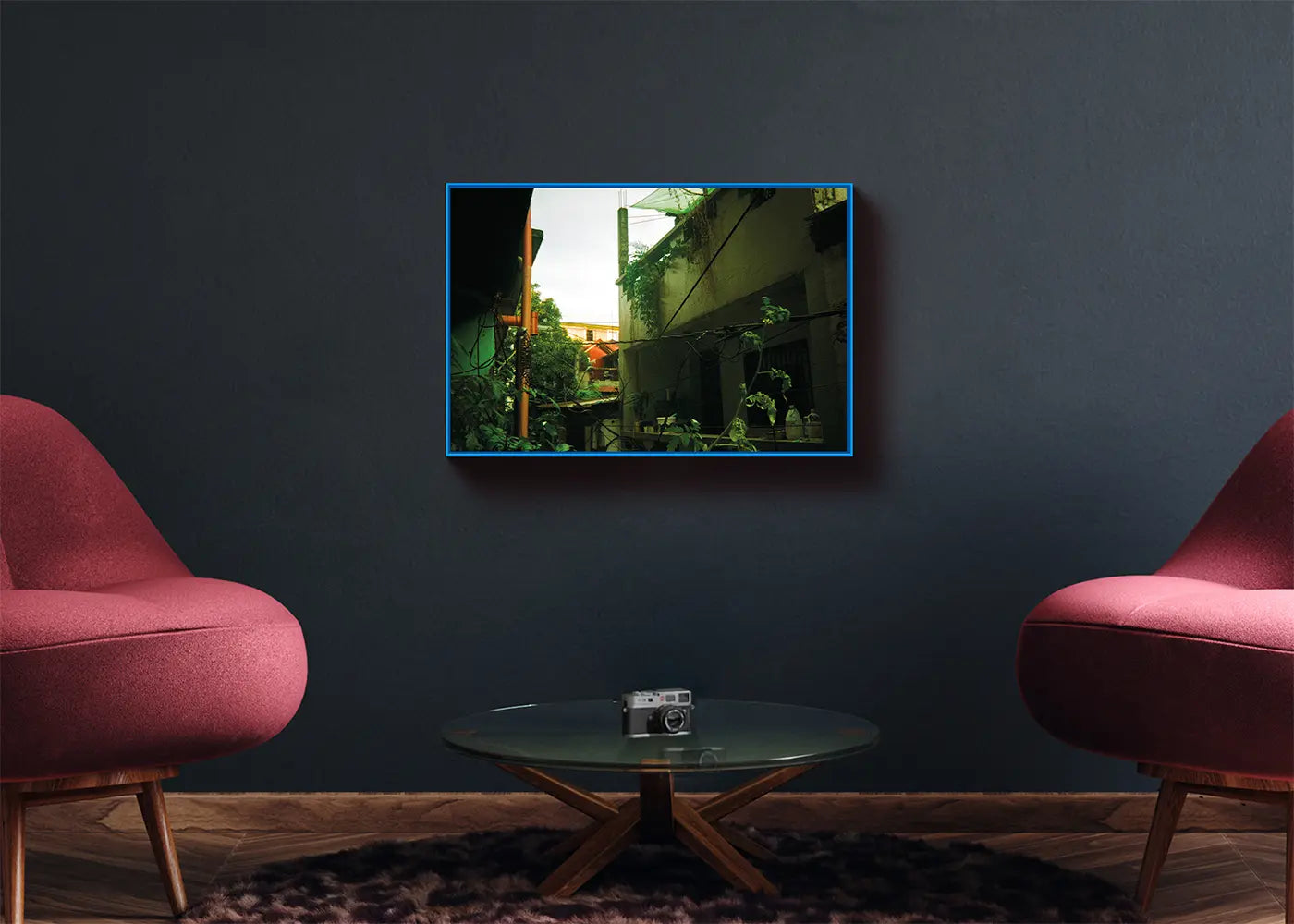 Jungle View - Angelica, 10