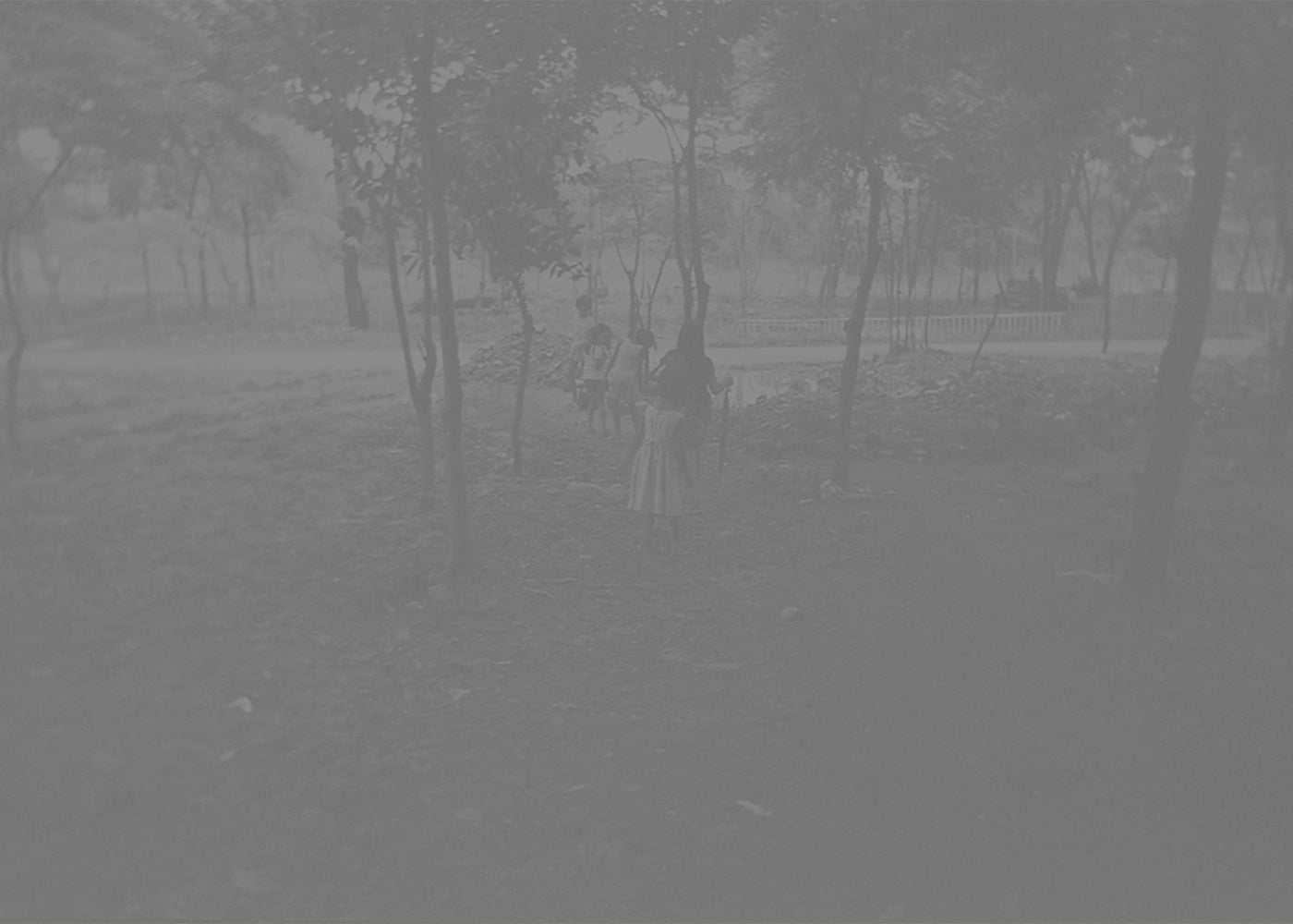 Walking Through The Forest - Arkin, 6