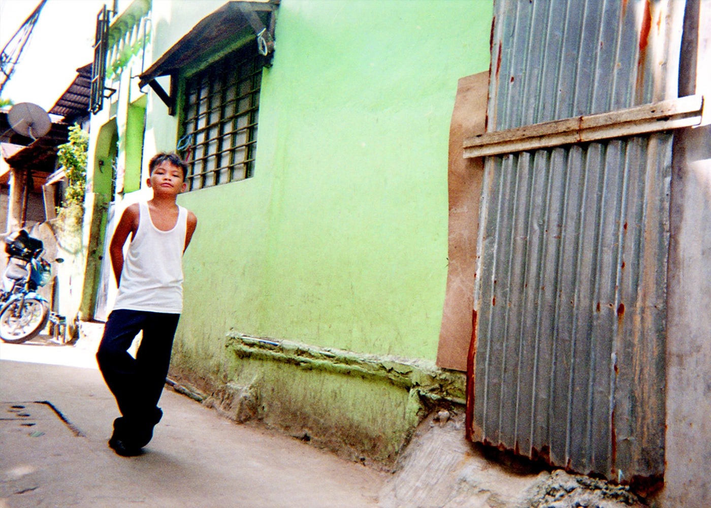 Green Wall - Christopher, 5