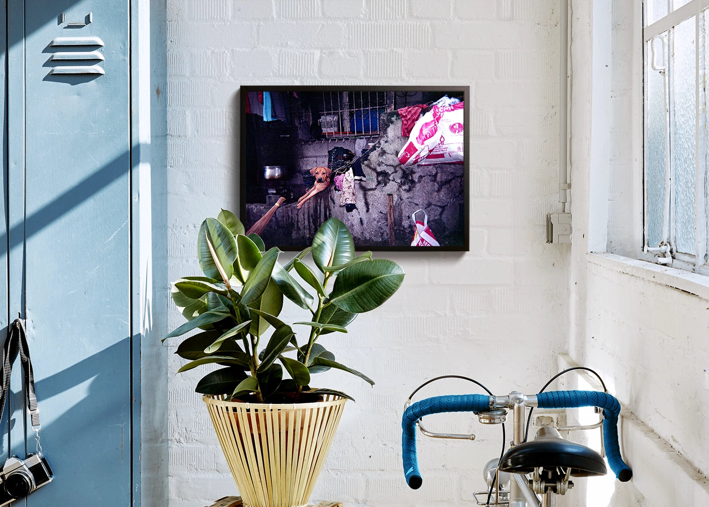 Jhyn Cedric K. Cortez - My Best Friend - Print Poster DinA3 frame black- Project Street Photography