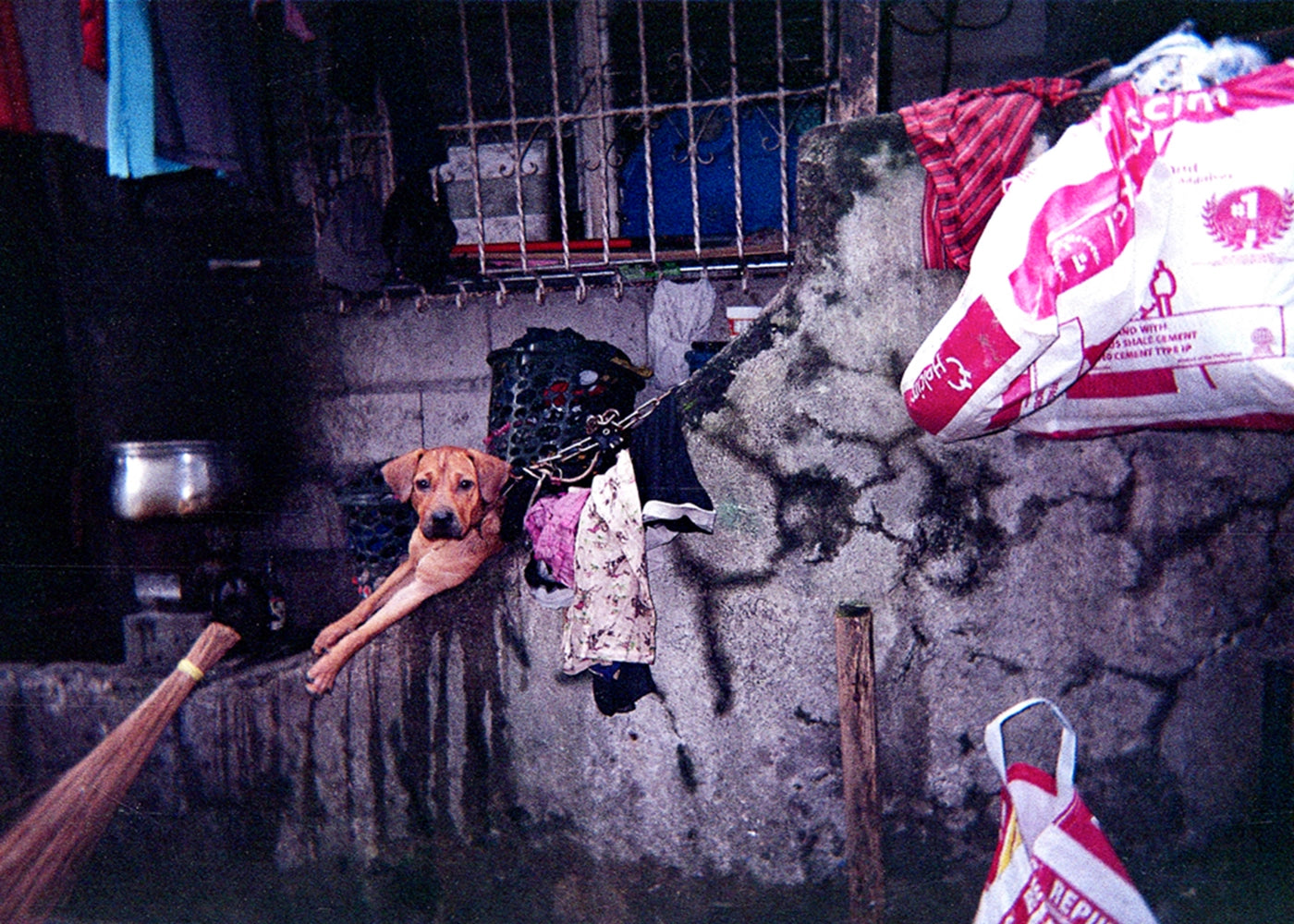 My Best Friend - Jhyn, 7