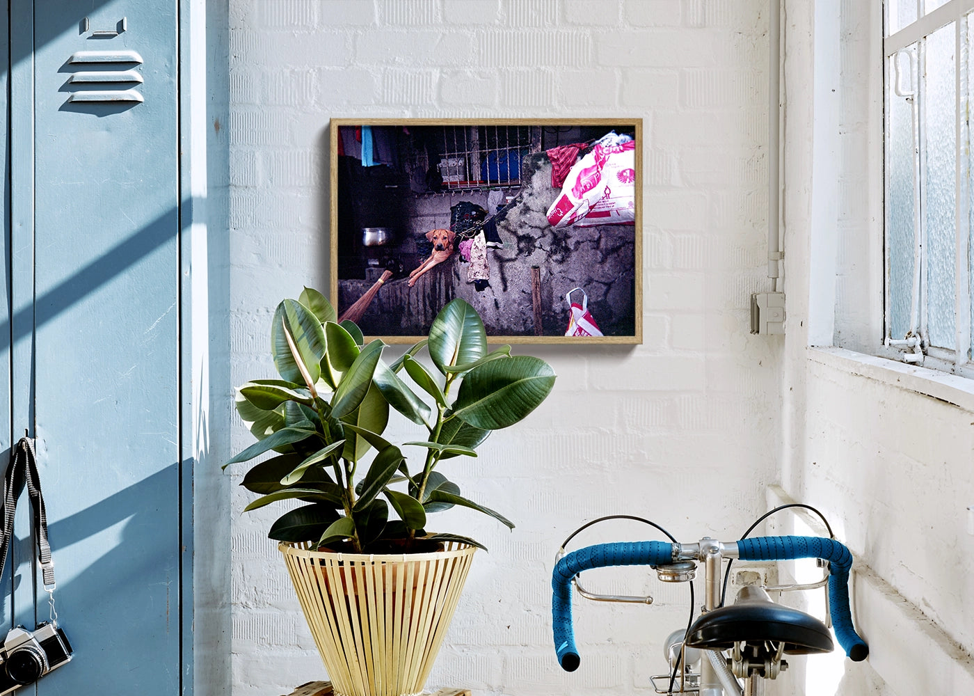 Jhyn Cedric K. Cortez - My Best Friend - Print Poster DinA3 frame oak - Project Street Photography