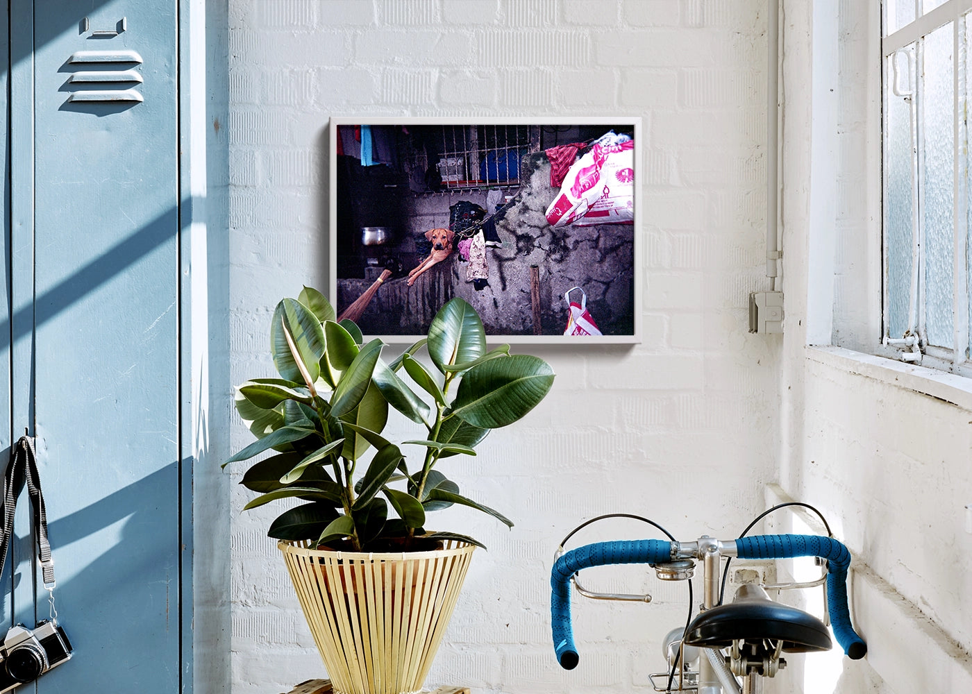 Jhyn Cedric K. Cortez - My Best Friend - Print Poster DinA3 frame white - Project Street Photography