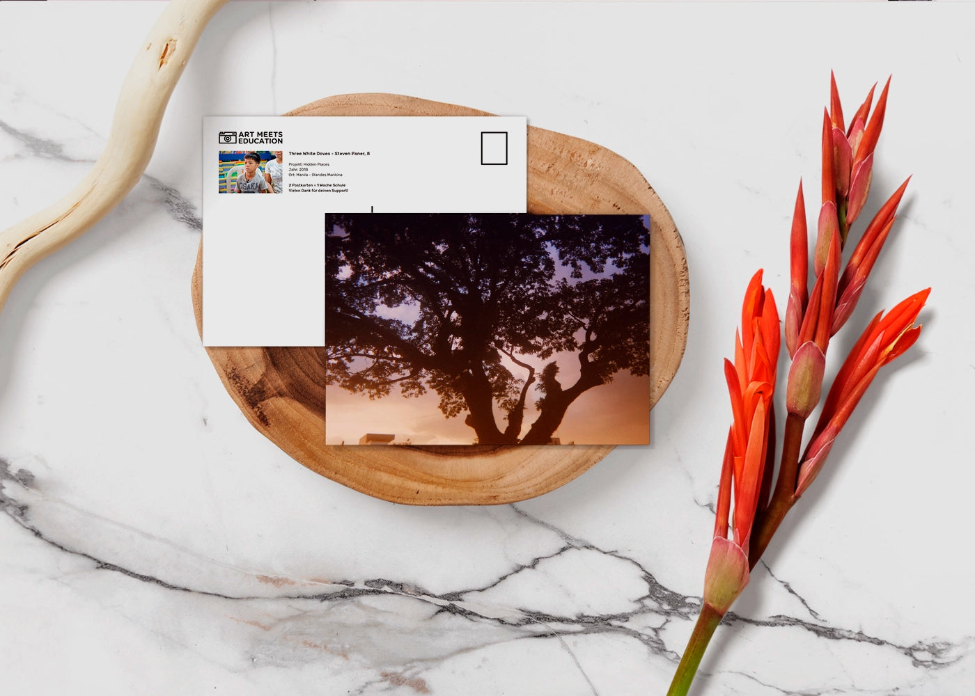 Steven Paner - Three White Doves - Print Postcard DinA6 - Project Hidden Places