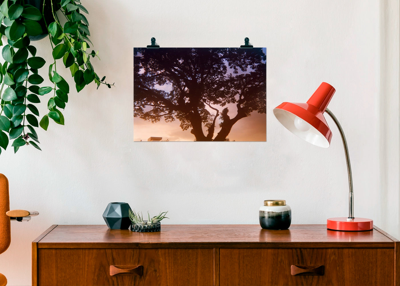 Steven Paner - Three White Doves - Print Poster DinA3 - Project Hidden Places