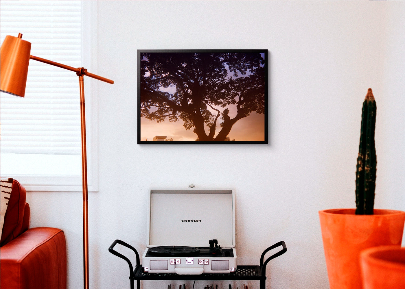 Steven Paner - Three White Doves - Print Poster DinA3 frame black - Project Hidden Places