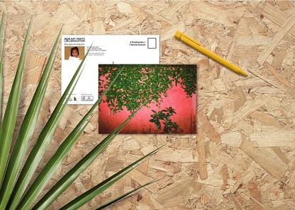 Green Pink - Maedane, 5
