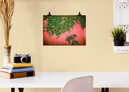 Green Pink - Maedane, 5