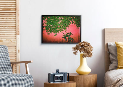 Green Pink - Maedane, 5