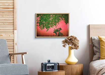 Green Pink - Maedane, 5