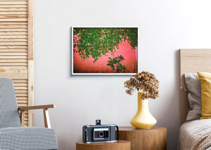 Green Pink - Maedane, 5