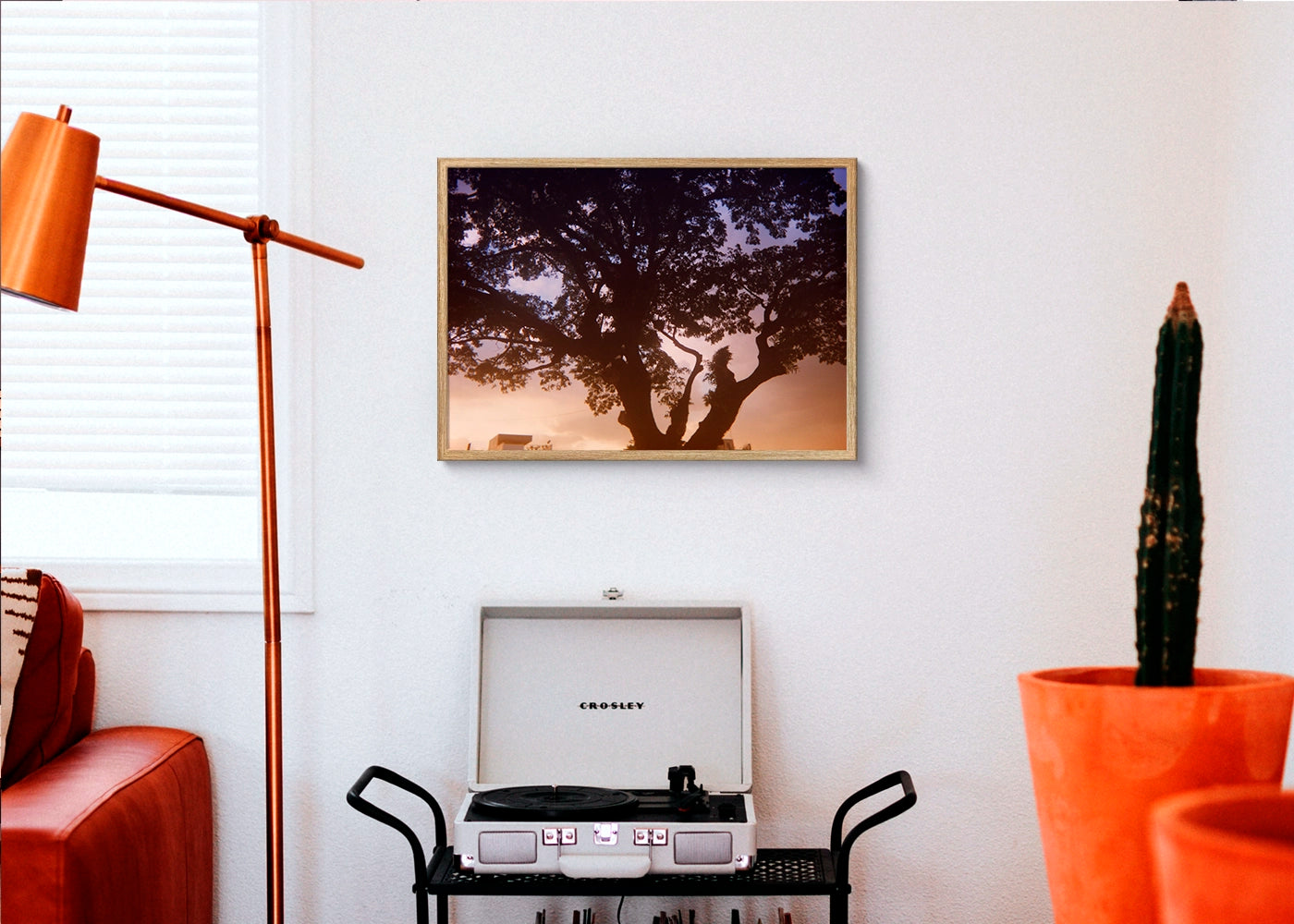 Steven Paner - Three White Doves - Print Poster DinA3 frame oak - Project Hidden Places